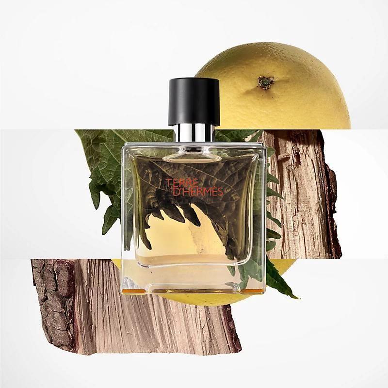 Terre D' Hermes Edt 100Ml Perfume Masculino - Perfume Masculino